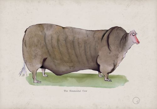 The Simmental Cow, fun heritage art print by Tony Fernaandes